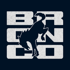 Ford Bronco Basic T-Shirt - Bucking Bronco Silhouette in Distressed Grey Letters